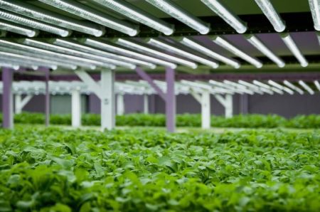 Schneider, Scale Microgrid supplying solar, storage and gas-fired power for indoor farming operation in PA