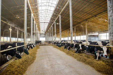 Dominion, Vanguard plan $200M effort converting livestock waste into RNG
