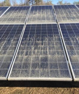 Blame it on the rain! NREL says precipitation can’t completely clean pollen from solar panels