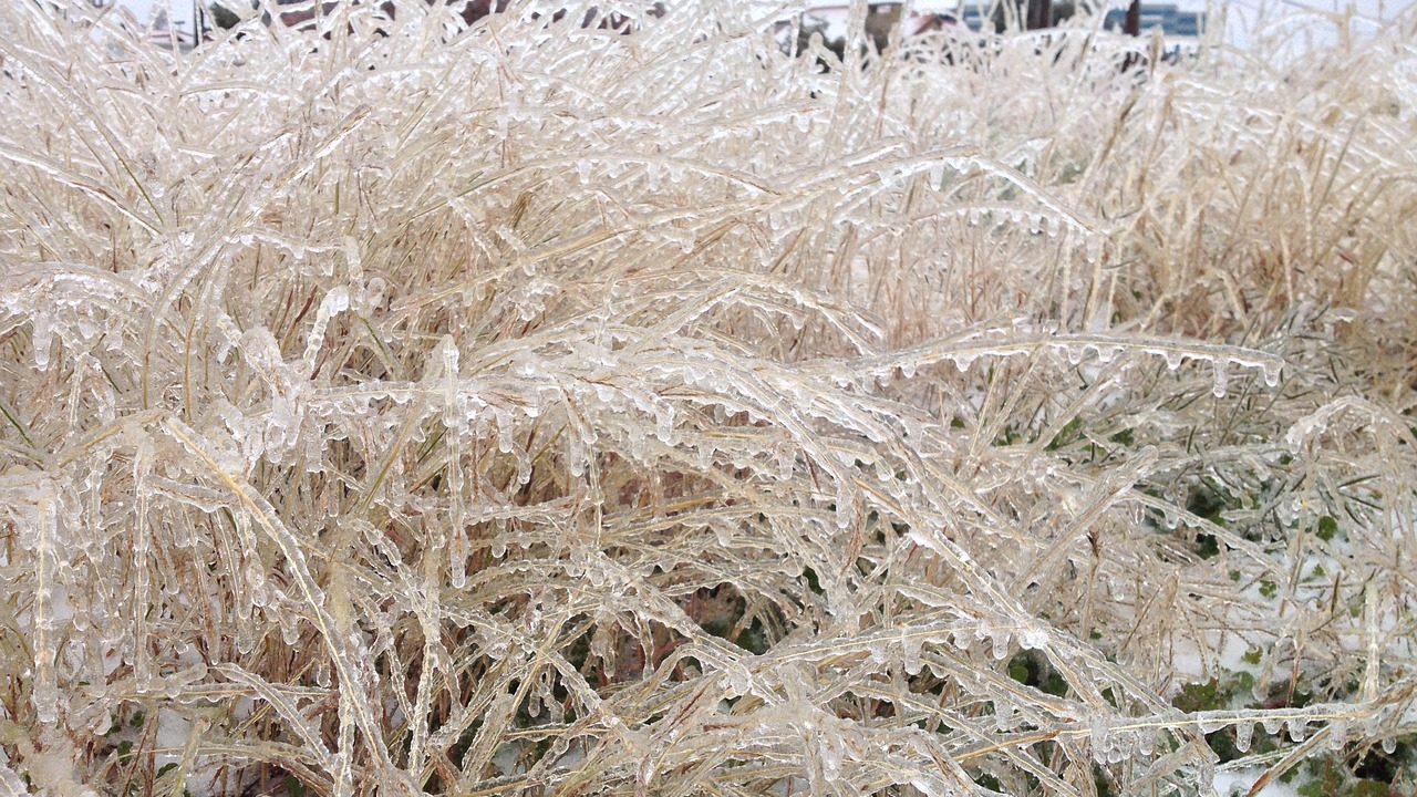 Transition to renewables increases winter reliability risk