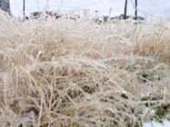 Transition to renewables increases winter reliability risk